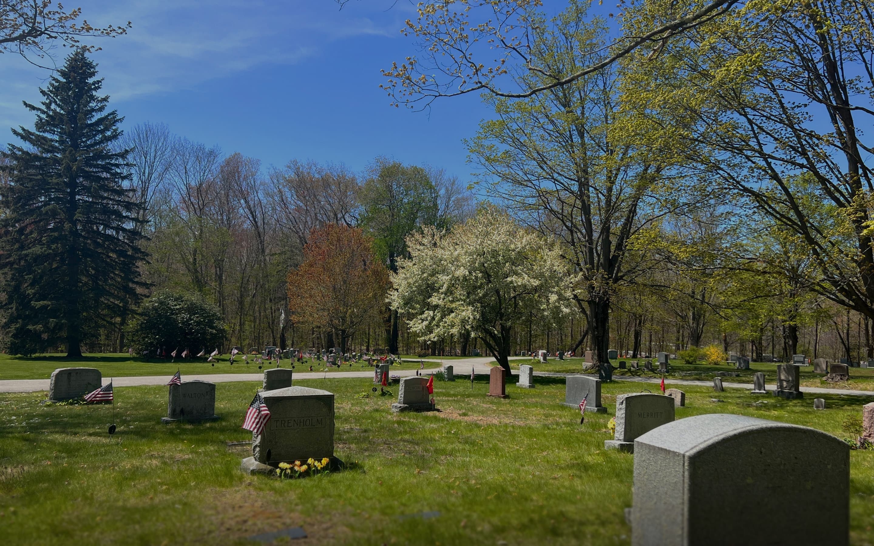 Photo with a view of Locust Grove Cemetery