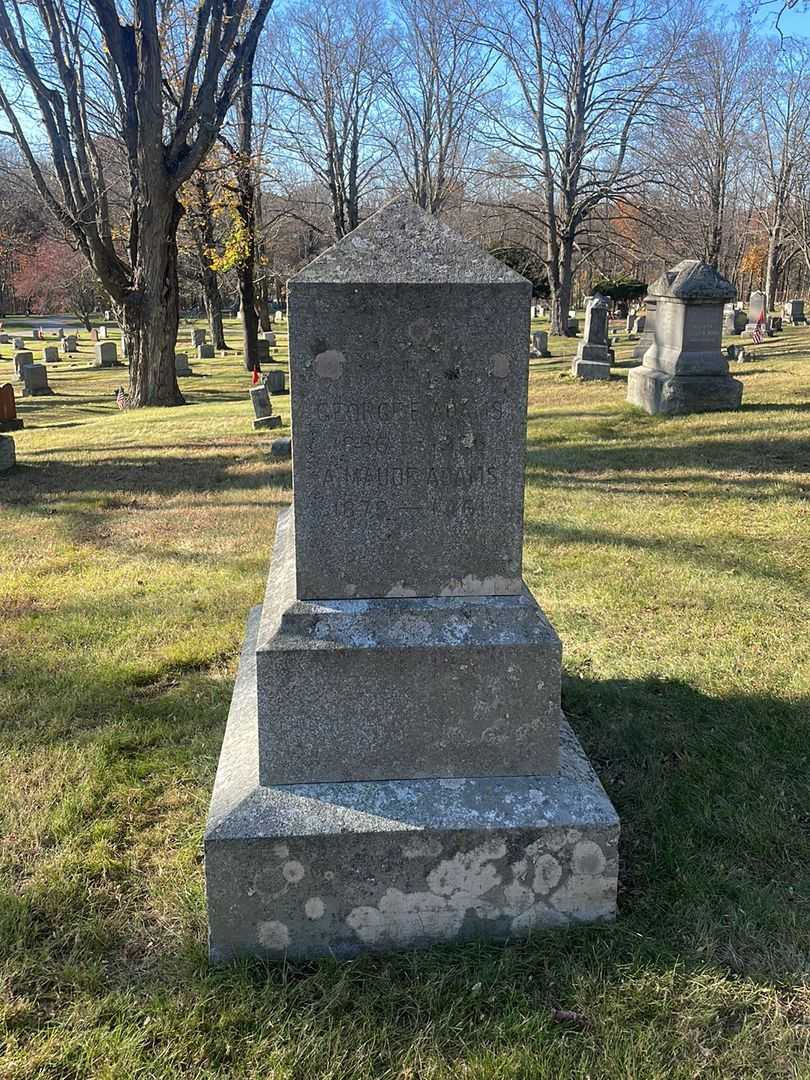 George E. Adams's grave. Photo 2