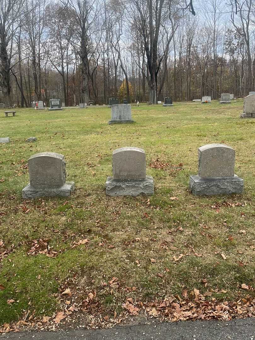 Josephine King Fuller's grave. Photo 2