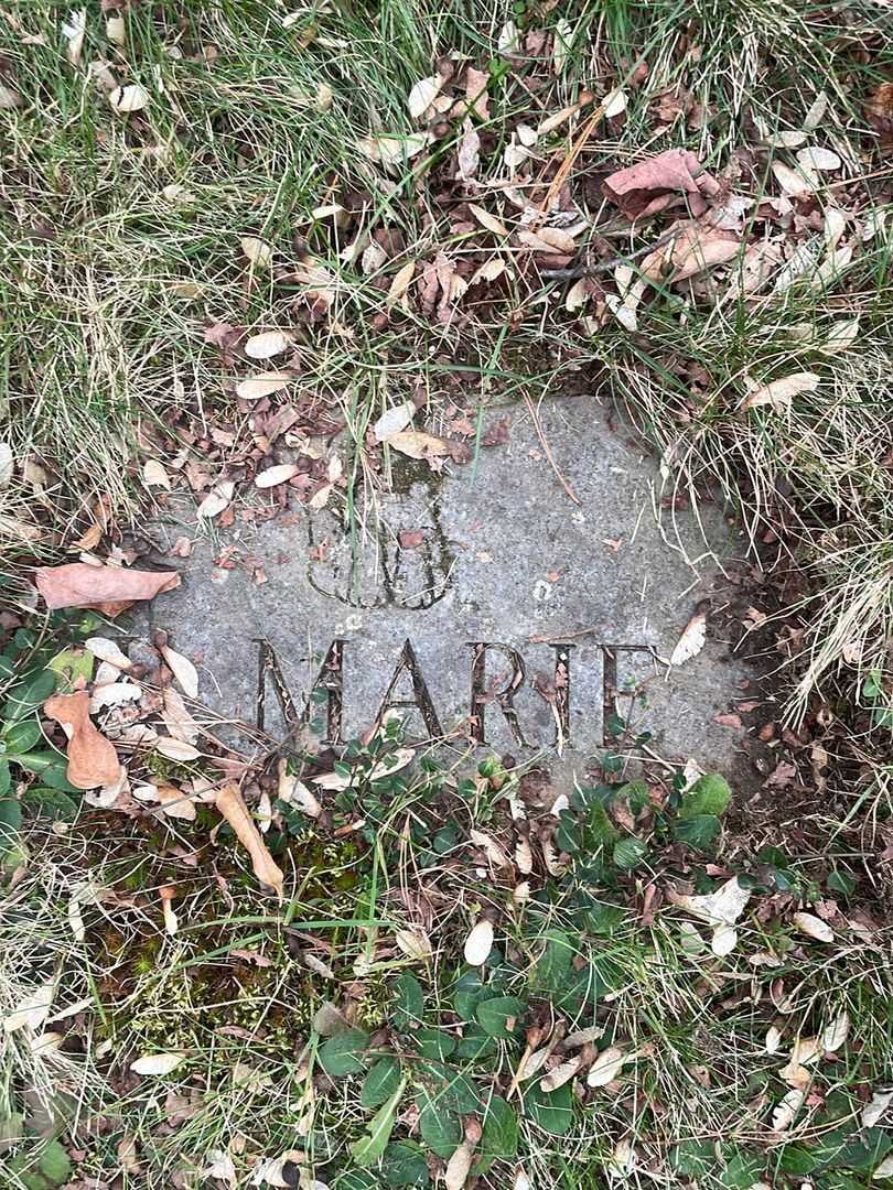 P. Marie Jennings's grave. Photo 5