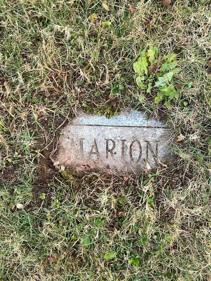 Marion E. Donovan's grave. Photo 4
