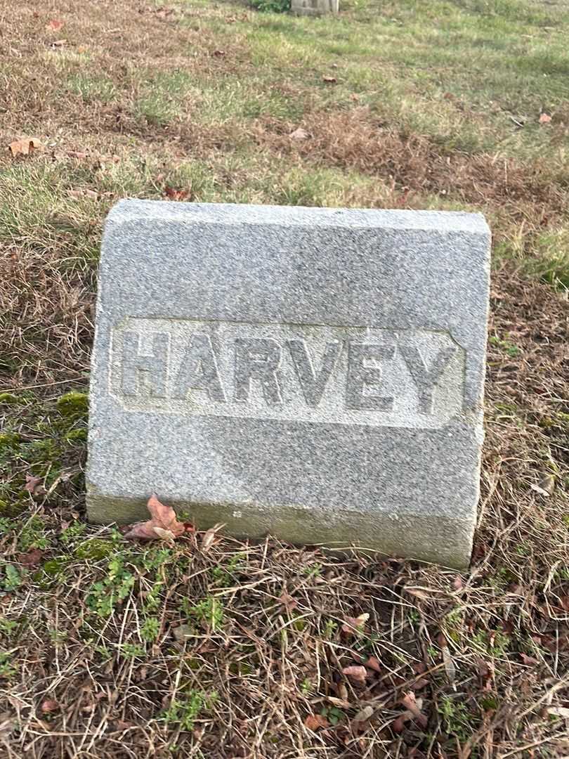 Harvey W. Foster's grave. Photo 4
