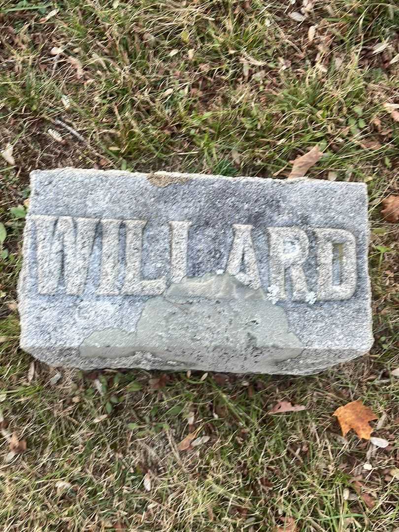 Willard A. Parker's grave. Photo 5