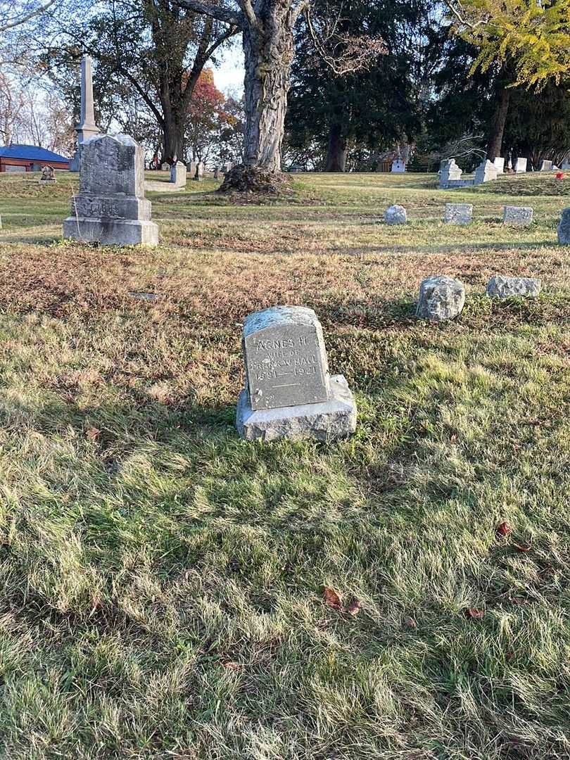 Agnes H. Hall's grave. Photo 2