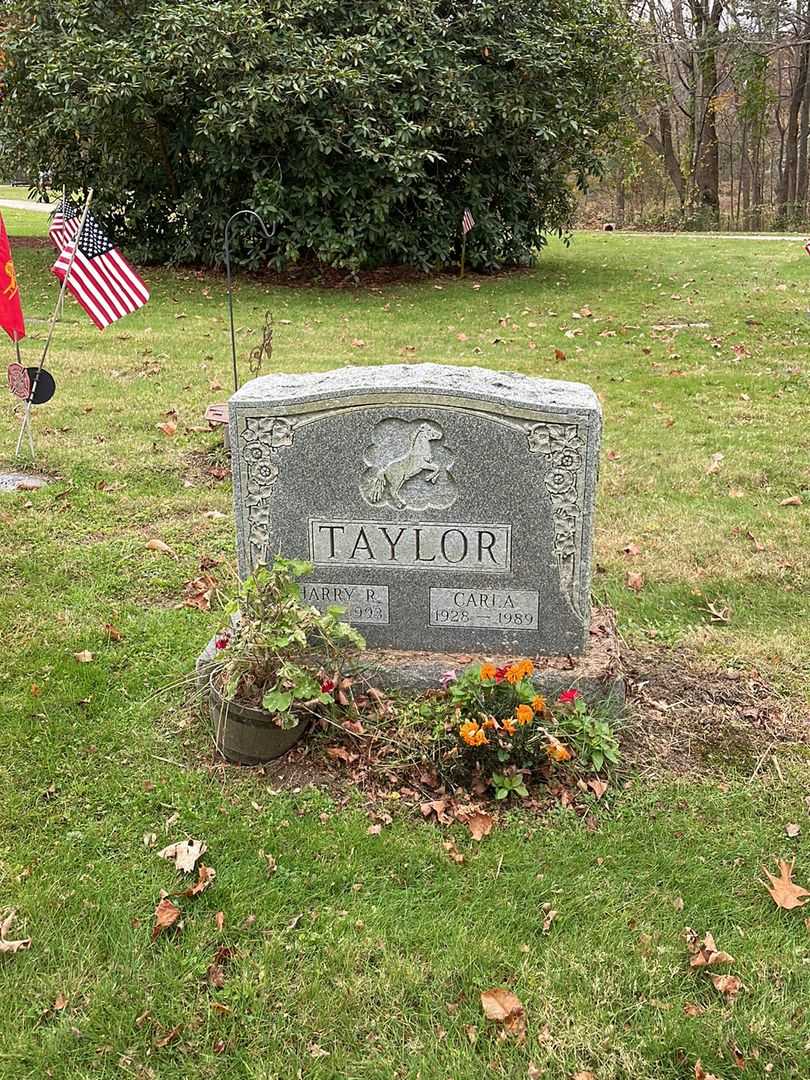 Carl Taylor's grave. Photo 2