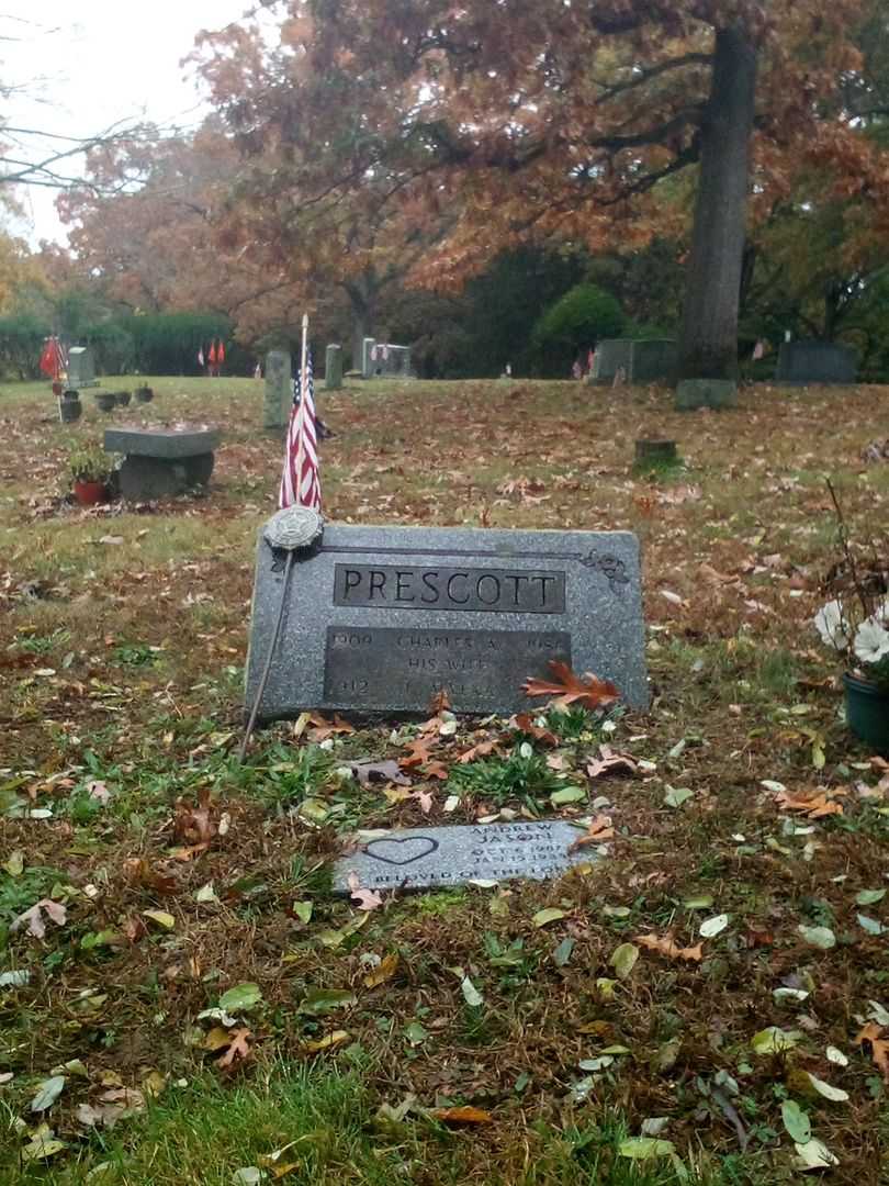 Andrew Jason's grave. Photo 2