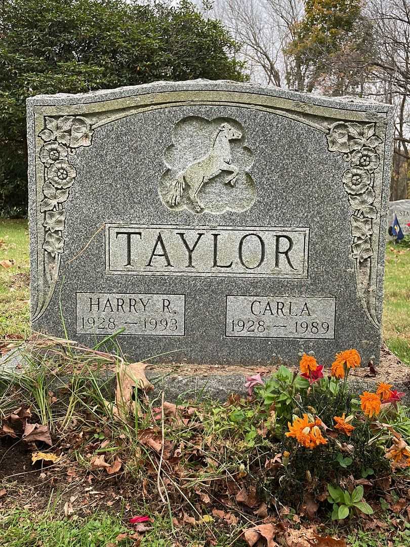 Carl Taylor's grave. Photo 1