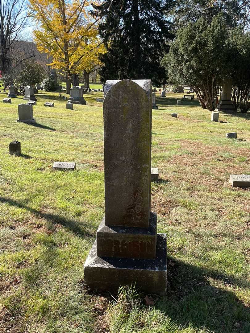 Daniel Morrison's grave. Photo 2