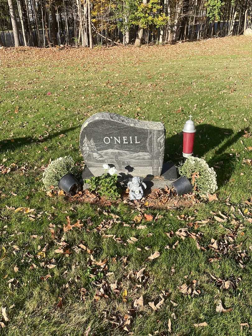 Timothy B. "Tim" O'Neil's grave. Photo 2