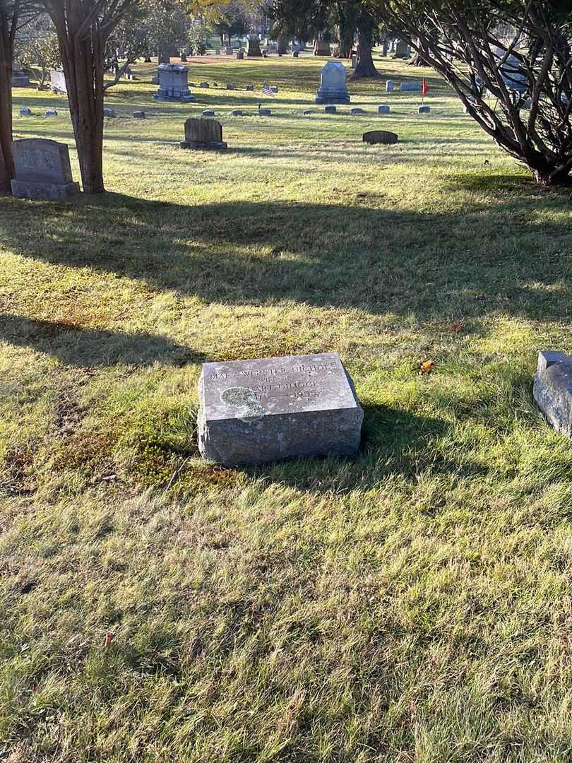 Mary Webster Nichols Dimock's grave. Photo 2