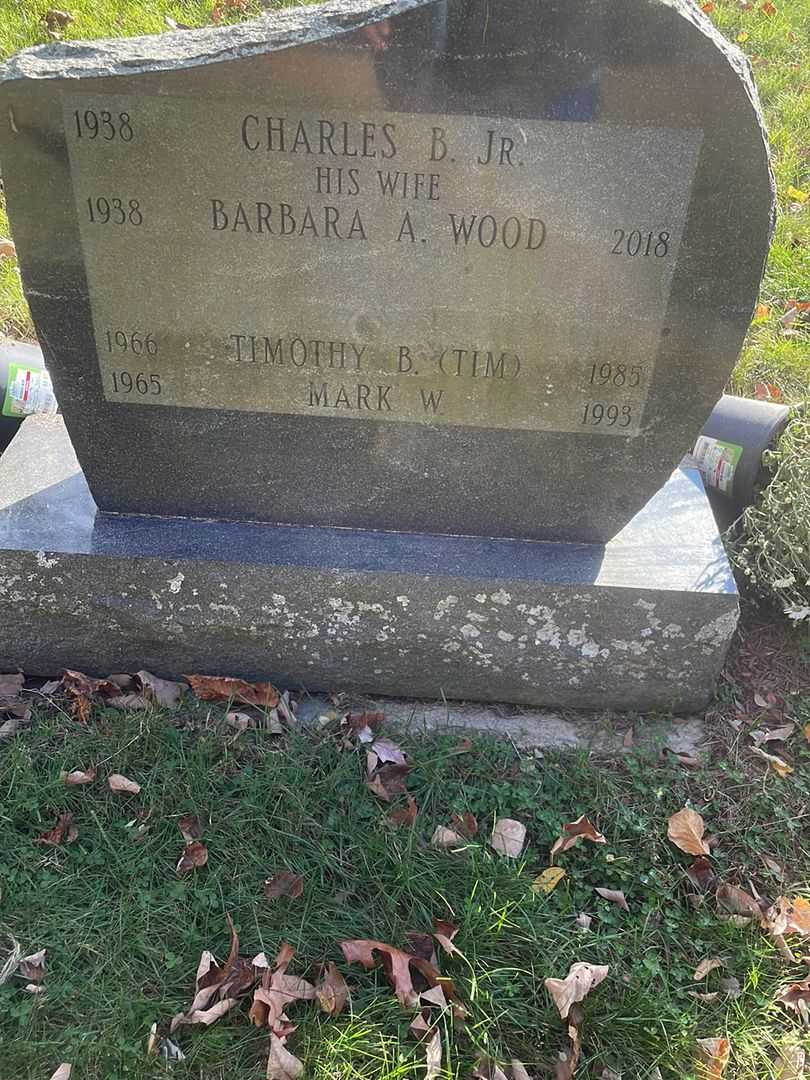 Timothy B. "Tim" O'Neil's grave. Photo 3