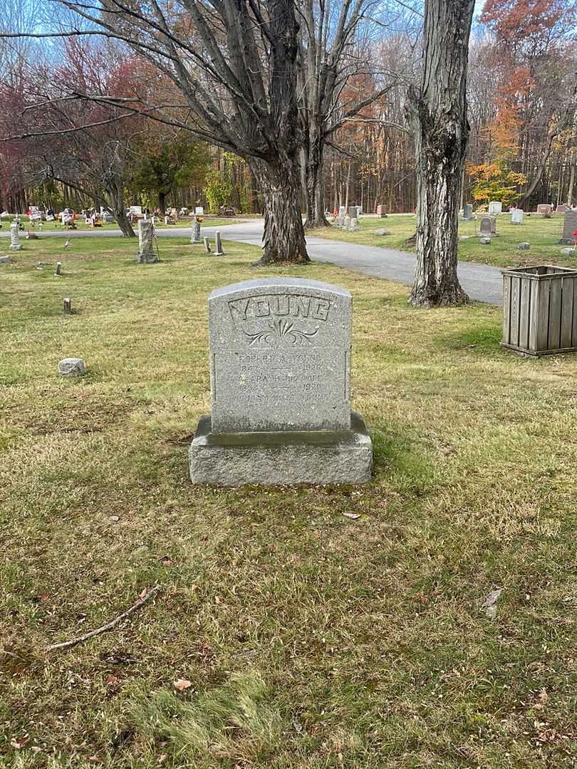 Robert A. Young's grave. Photo 2