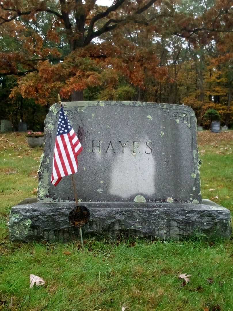 Alice M. Allen's grave. Photo 1