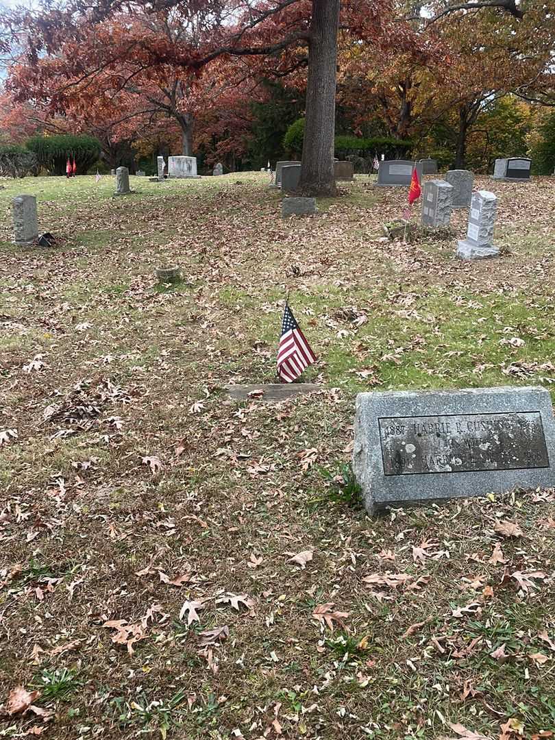 Lyle A. Matheson's grave. Photo 2