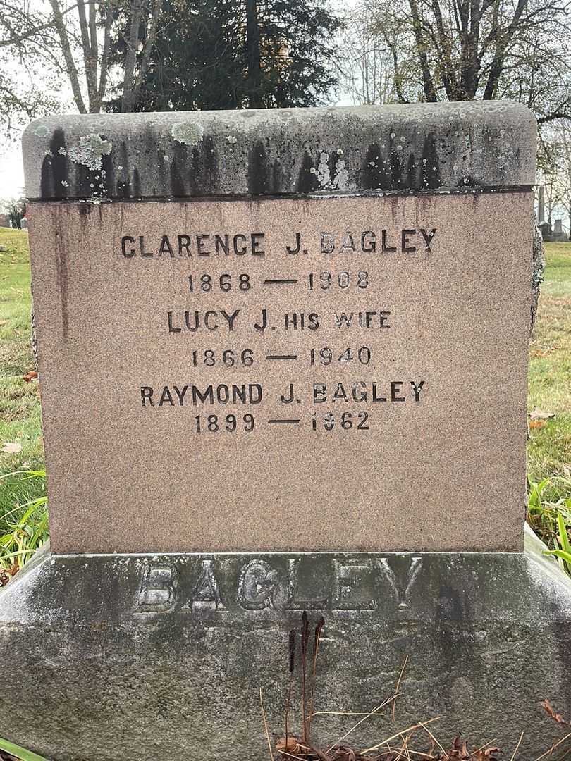 Alva E. Bagley's grave. Photo 1