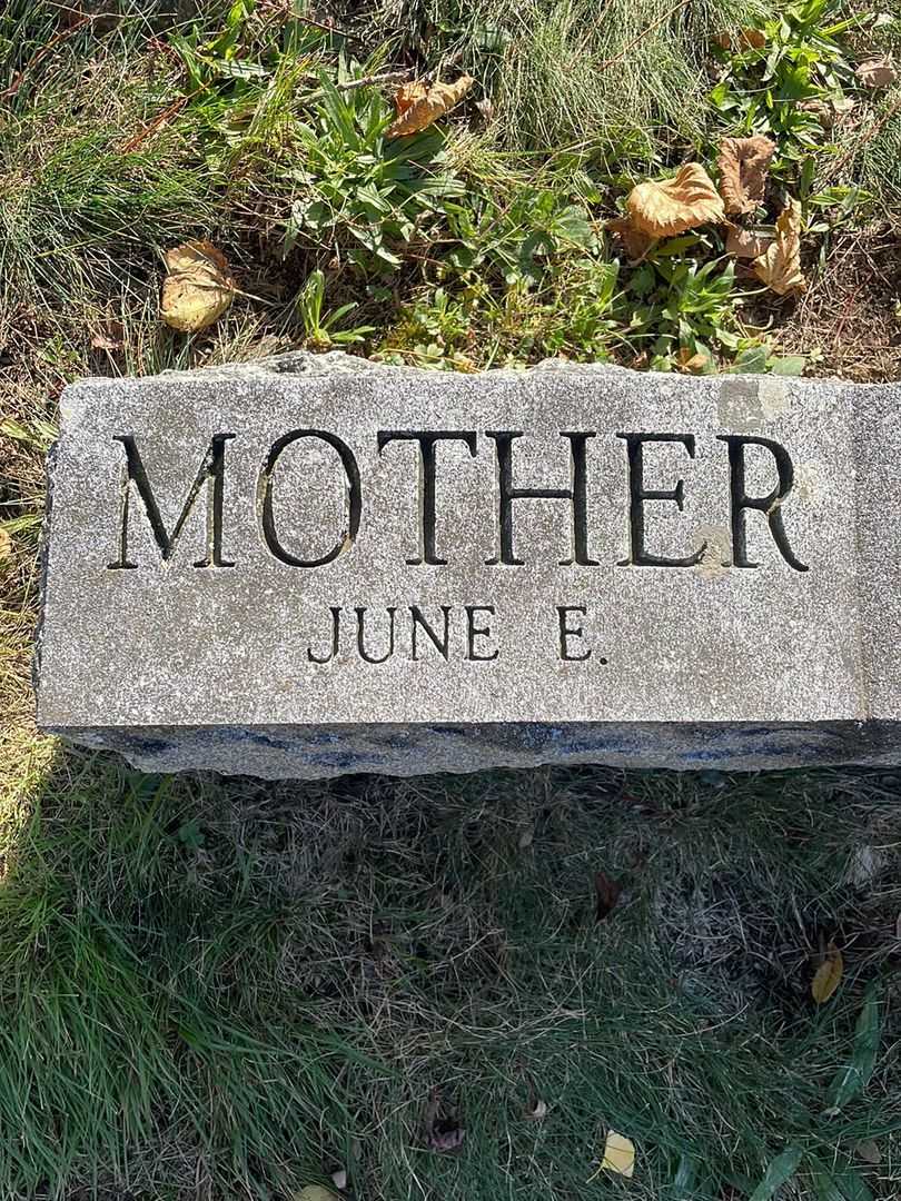 June E. Whitcomb's grave. Photo 5