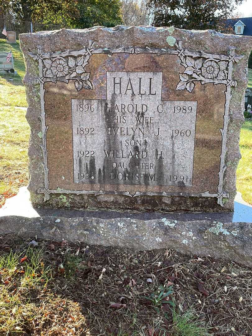 Carl W. Hall's grave. Photo 1