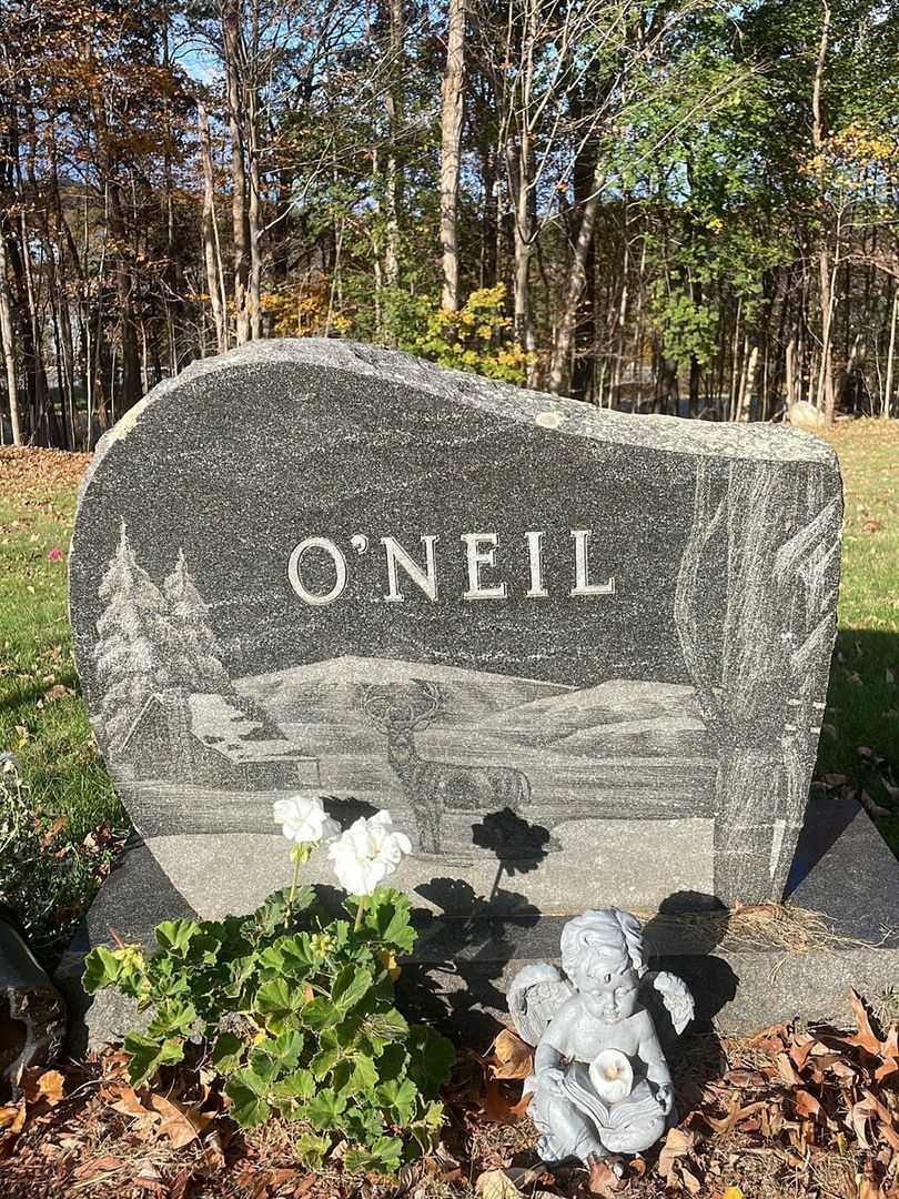 Mark W. O'Neil's grave. Photo 3