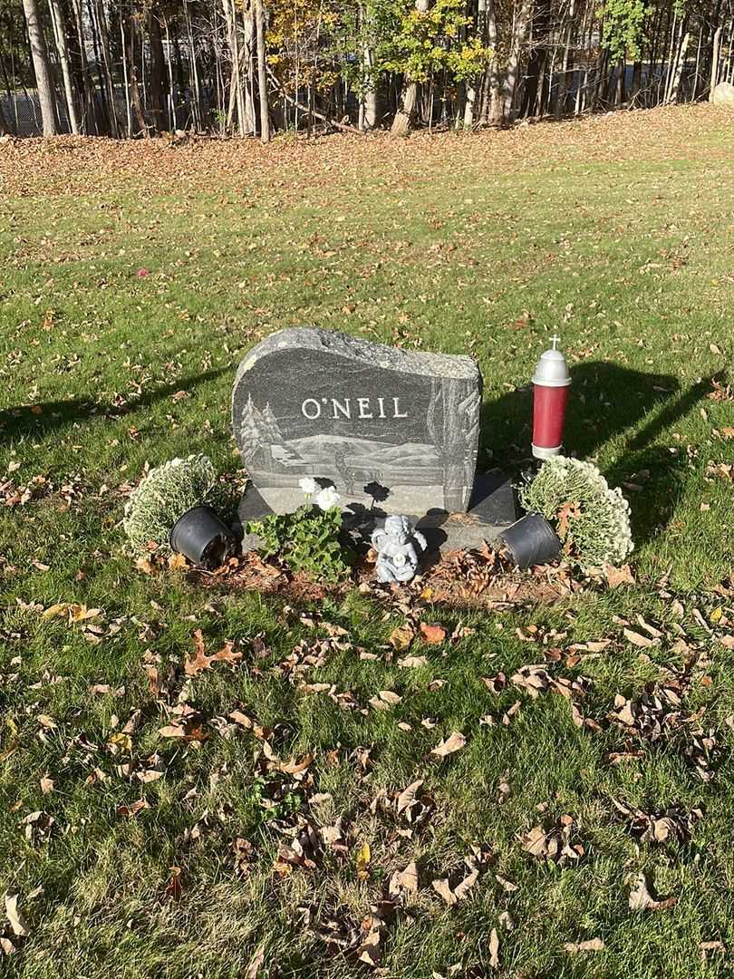 Mark W. O'Neil's grave. Photo 2