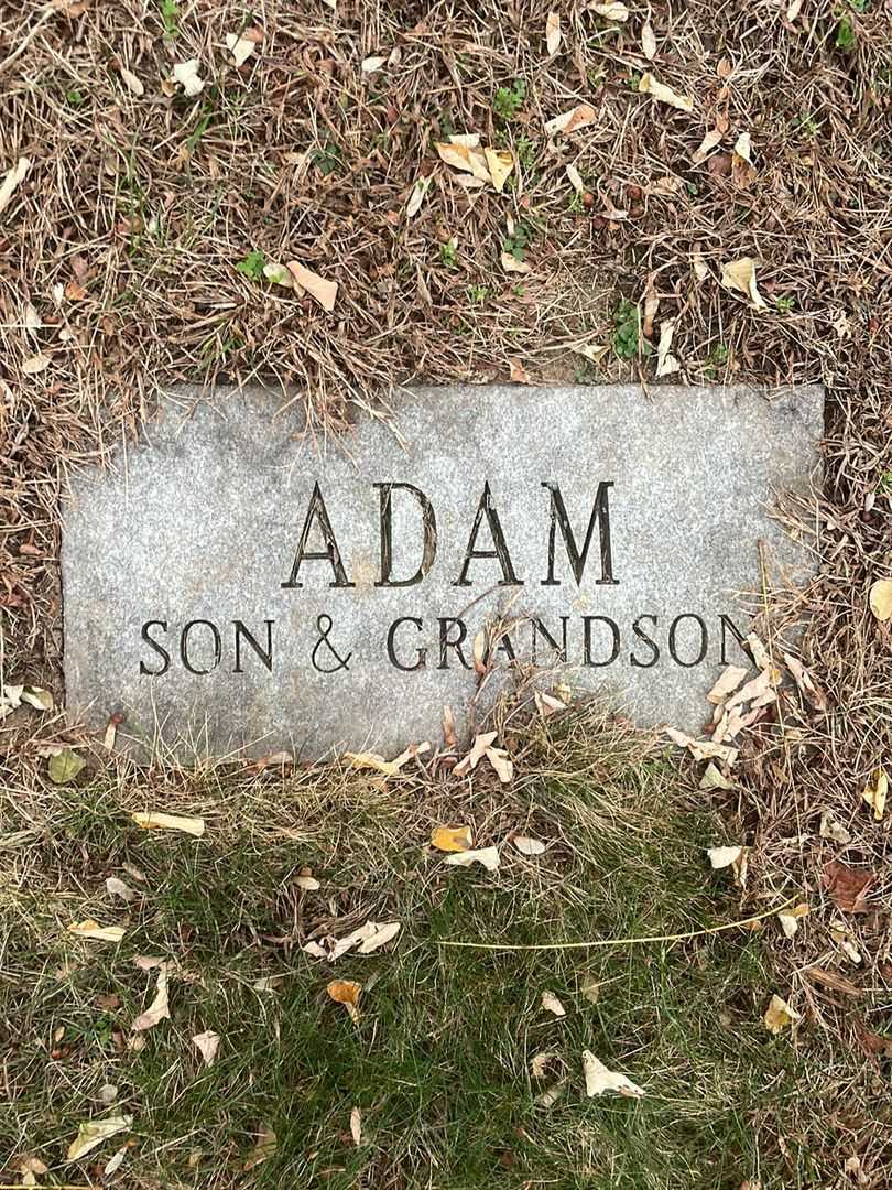 Adam Wilde Minton's grave. Photo 4