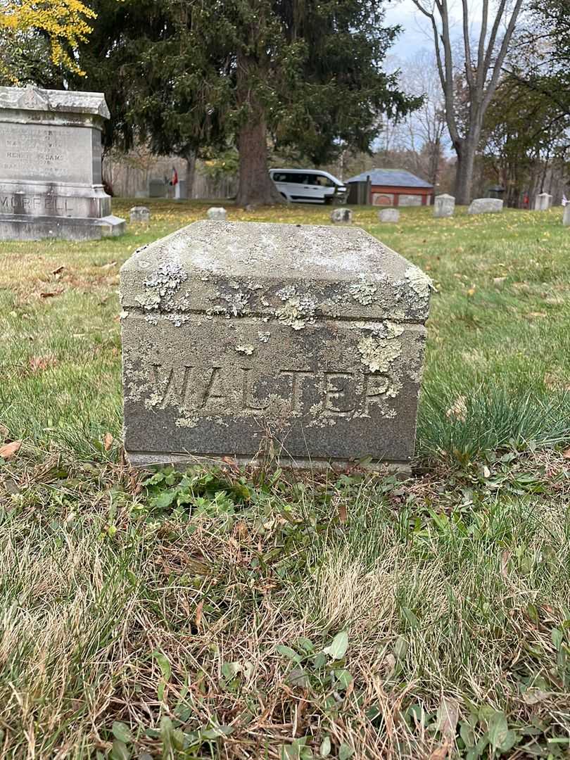 Walter Morrell's grave. Photo 3