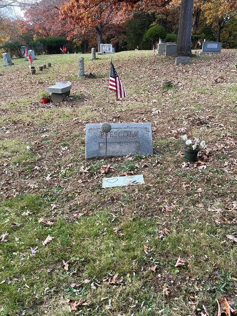 Andrew Jason's grave. Photo 4