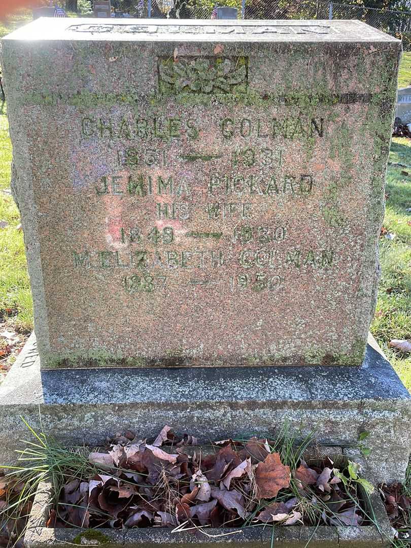 M. Elizabeth Jemima's grave. Photo 1