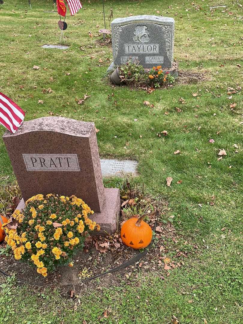Carla Taylor's grave. Photo 4