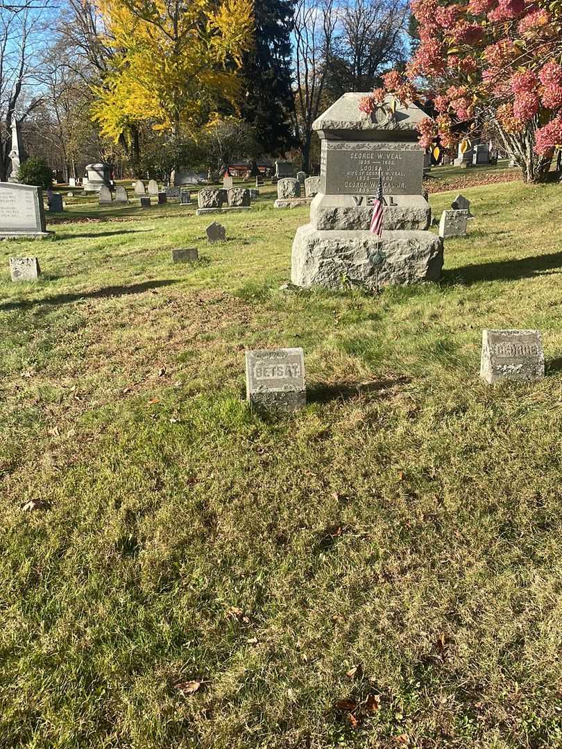 Betsey A. Veal's grave. Photo 2