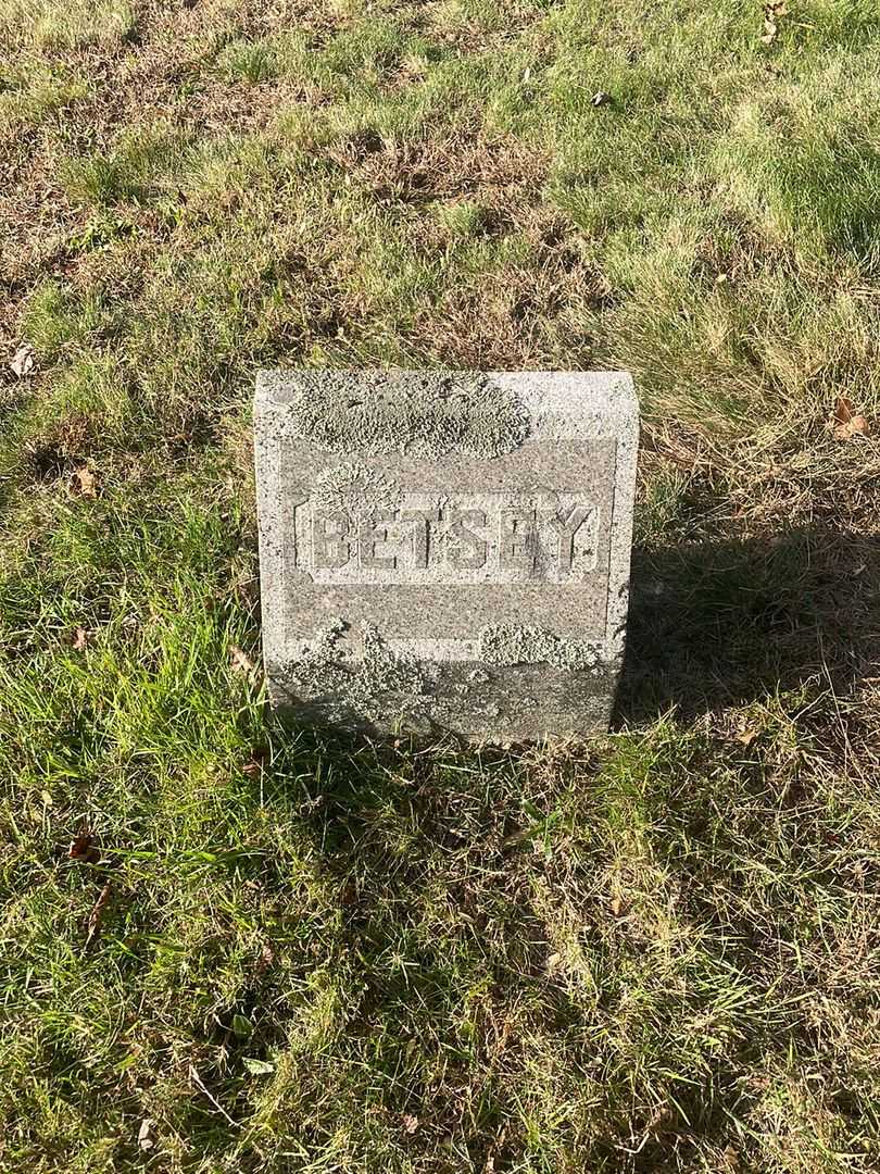 Betsey A. Veal's grave. Photo 3