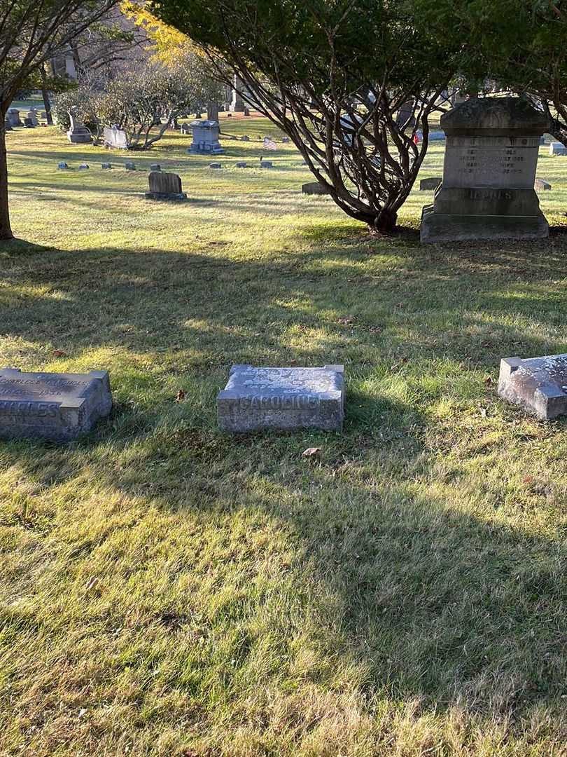 Caroline W. Nichols's grave. Photo 2