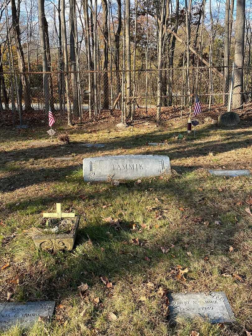 Senja Tammik's grave. Photo 1