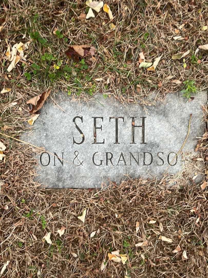 Seth Wilde Minton's grave. Photo 4