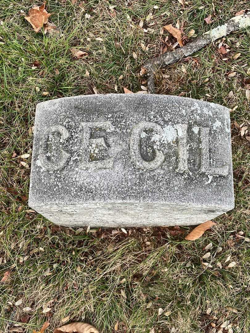 Cecil A. Earl's grave. Photo 3
