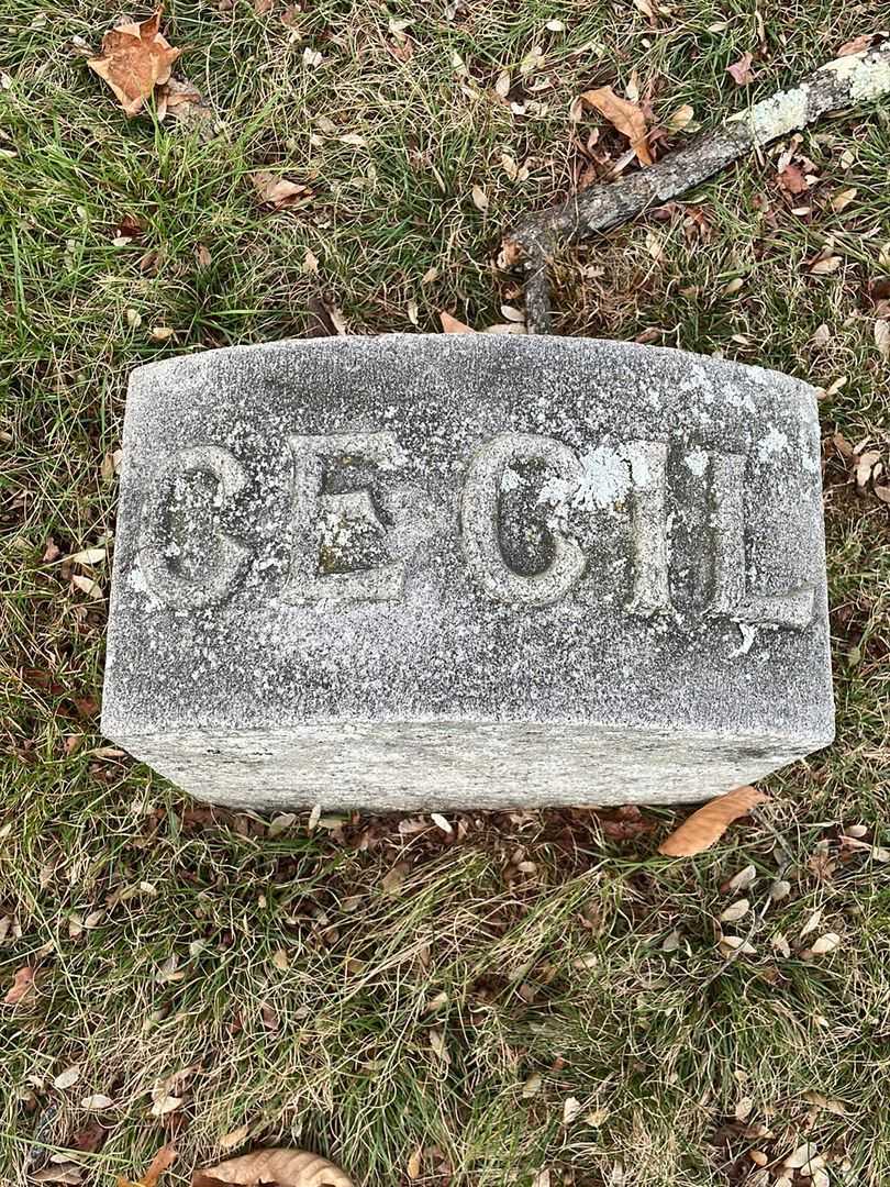 Cecil A. Earl's grave. Photo 4