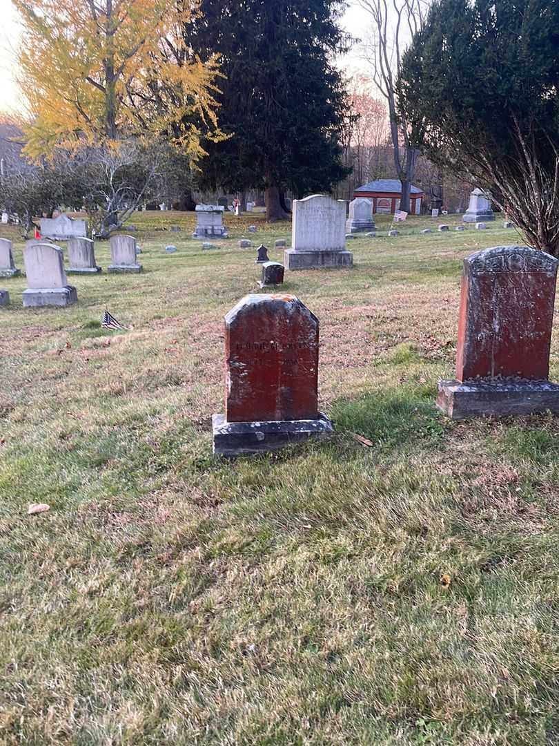 Harrie M. Green's grave. Photo 2