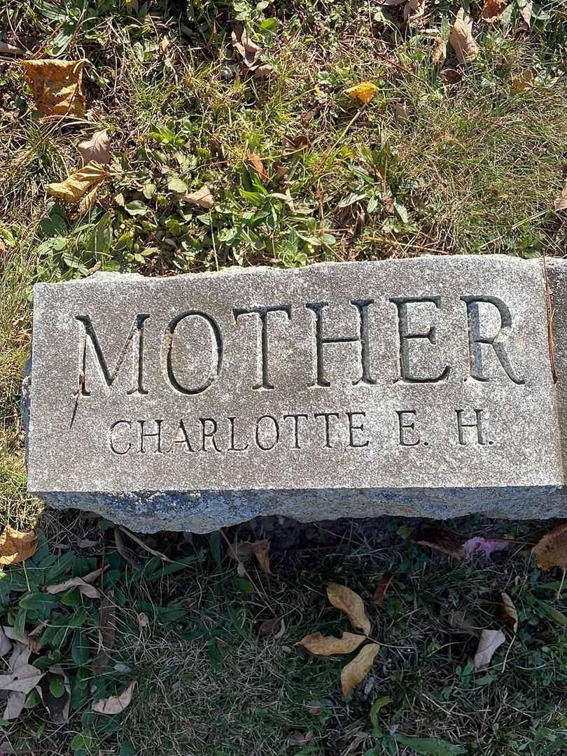 Charlotte E. H. Whitcomb's grave. Photo 4