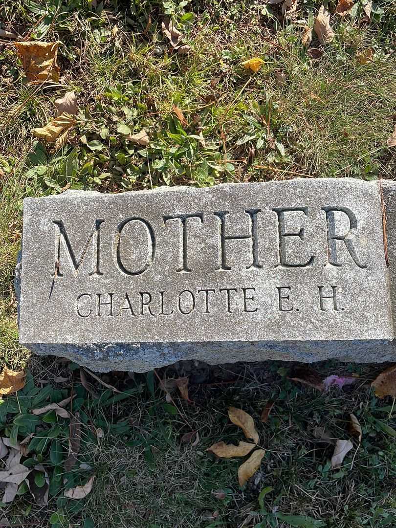 Charlotte E. H. Whitcomb's grave. Photo 5