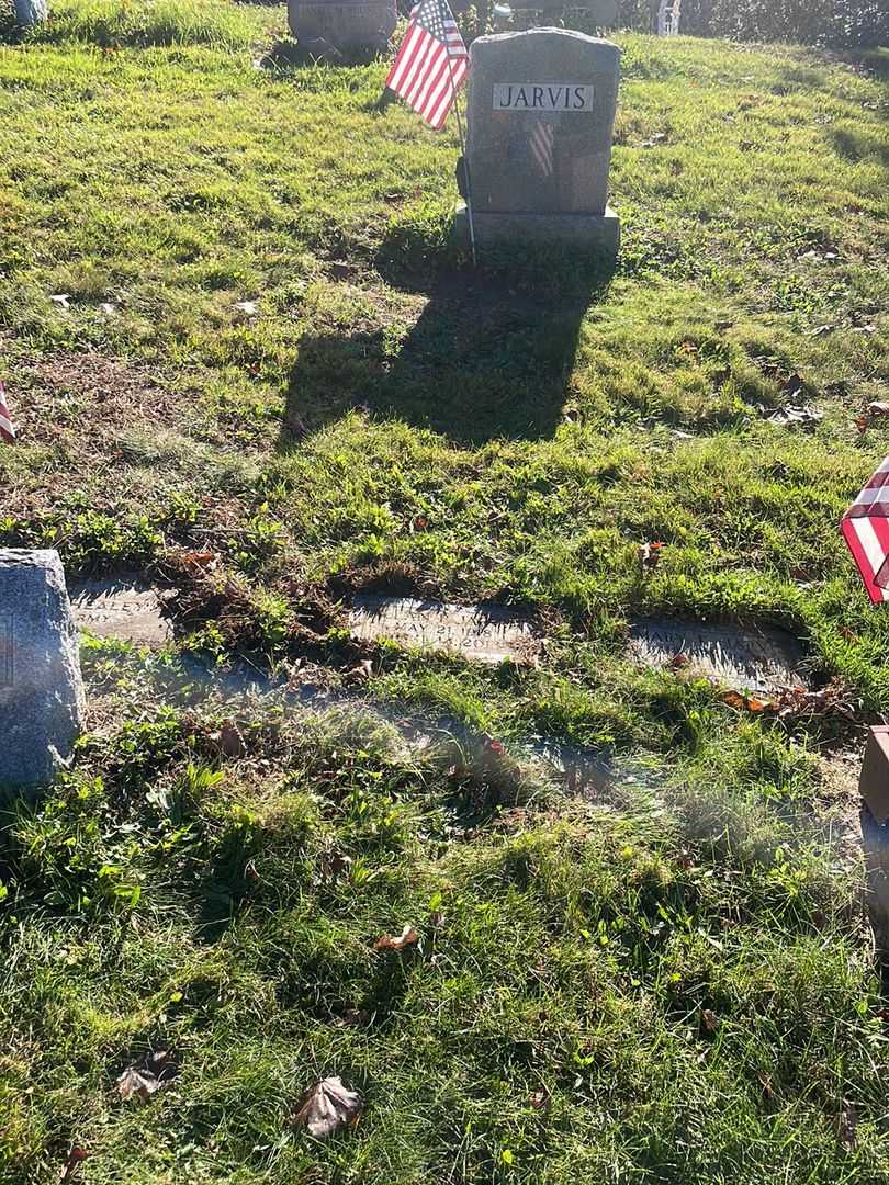 Allan P. Jarvis's grave. Photo 2