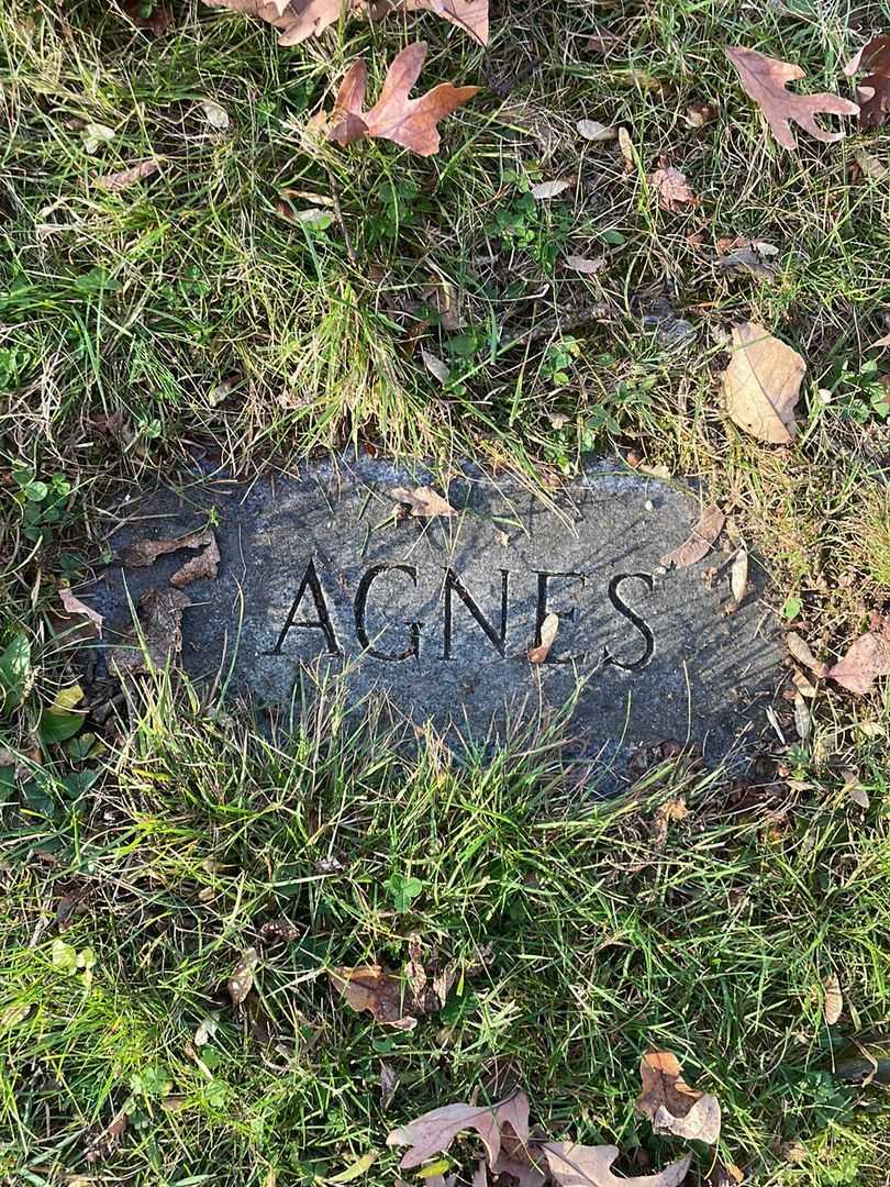 Agnes O. Viccaro's grave. Photo 5