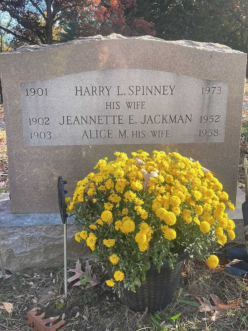 Jeannette E. Jackman Spinney's grave. Photo 3