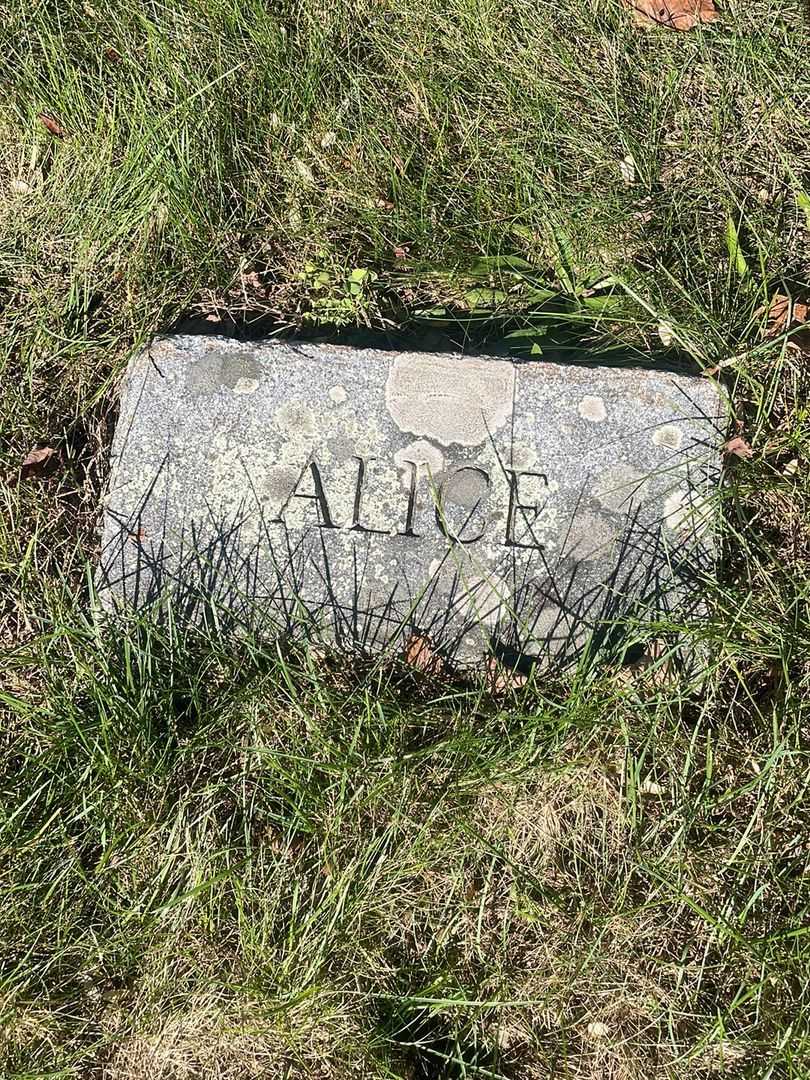 Alice M. Manning's grave. Photo 4