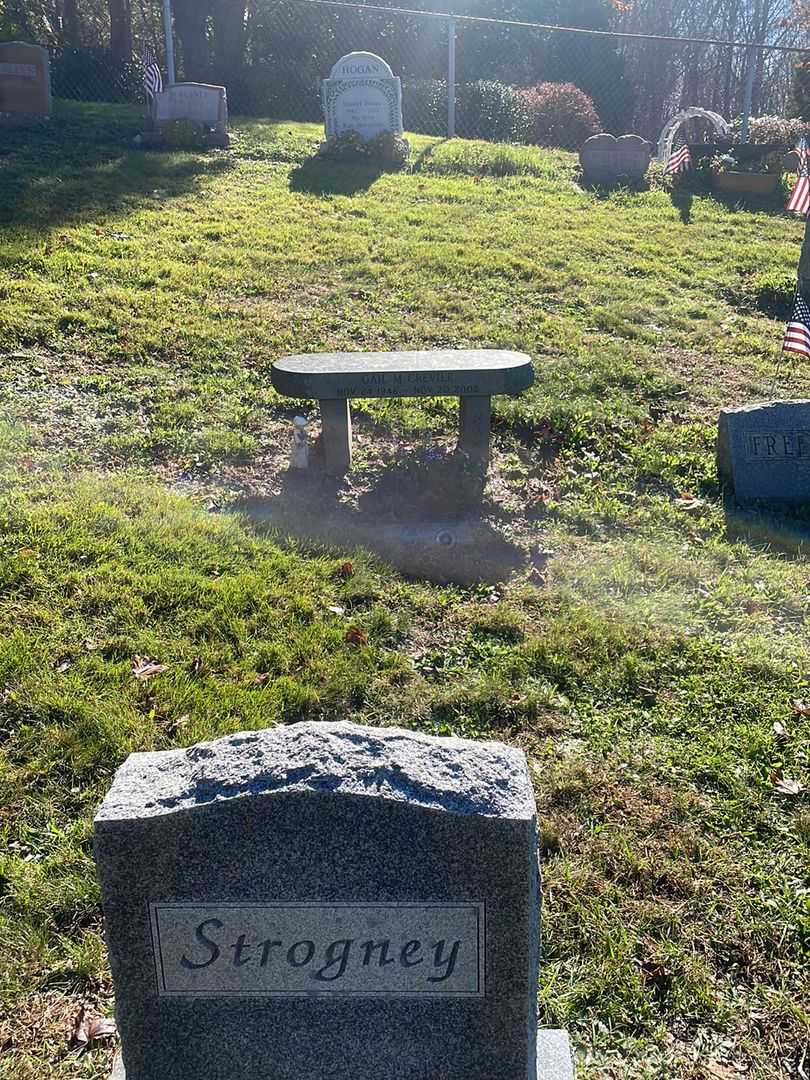 Declan James Davils's grave. Photo 2