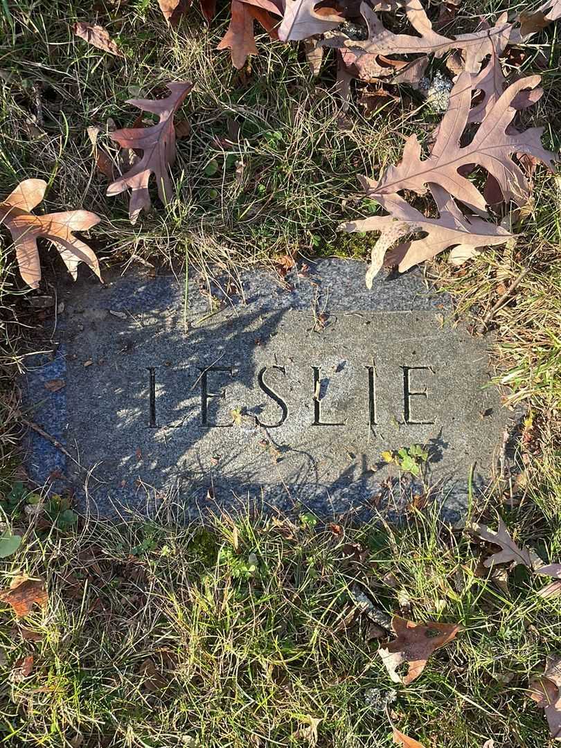 F. Leslie Viccaro's grave. Photo 4