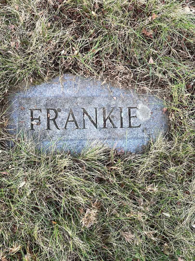 Frank R. Woyvoda's grave. Photo 4