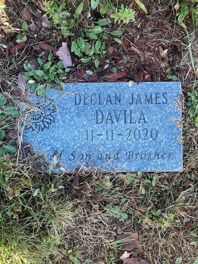 Declan James Davils's grave. Photo 3