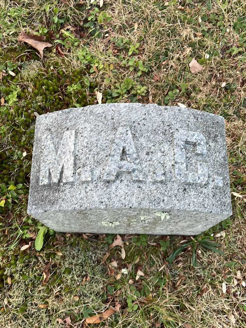 Mary Anna Chase's grave. Photo 4