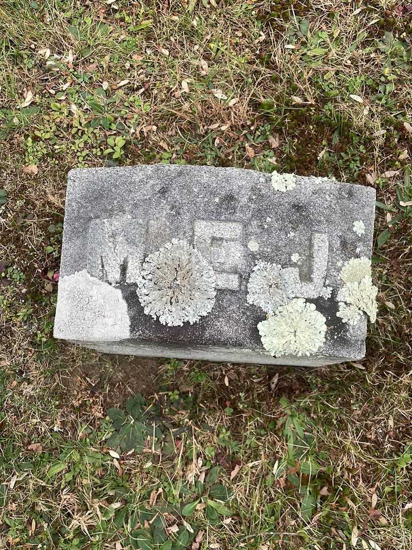 Mary Ellen Johnson's grave. Photo 4