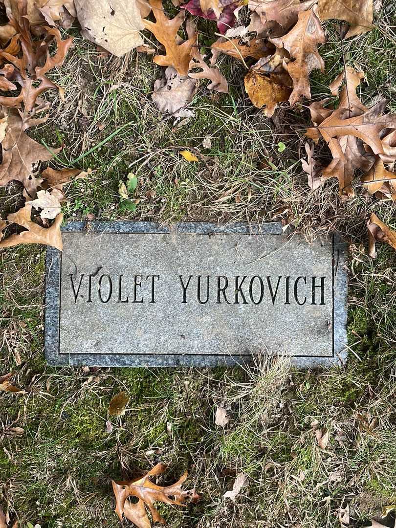 Violet Yurkovich's grave. Photo 4