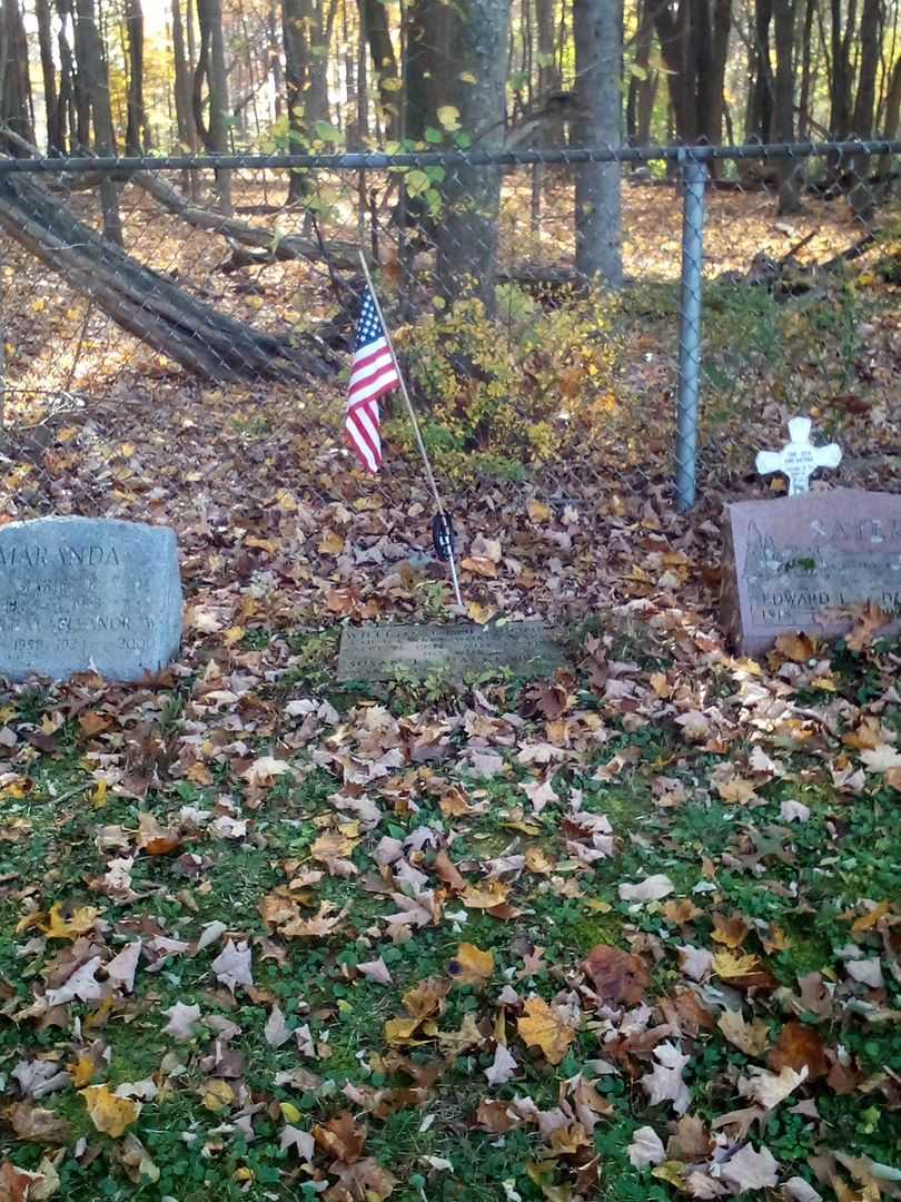 Susan L. Quackenbush Colasuonno's grave. Photo 2